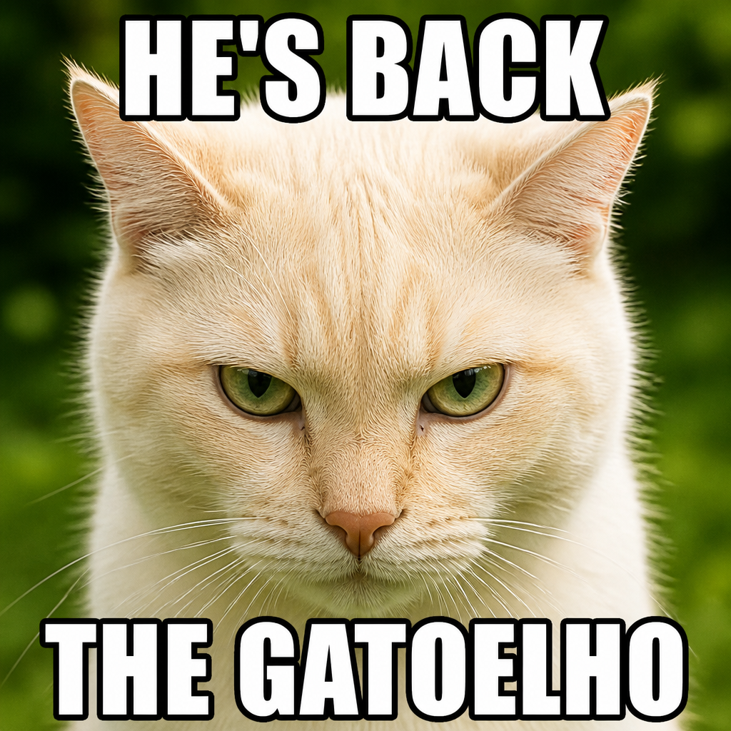 HE'S BACK — THE GATOELHO